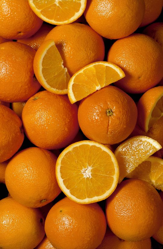 Valencia Oranges