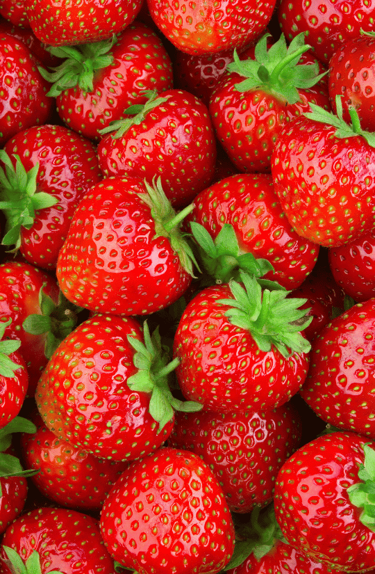 Wild Strawberries