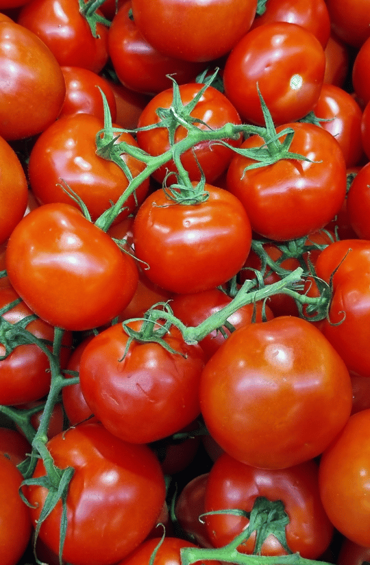 Cherry Tomatoes