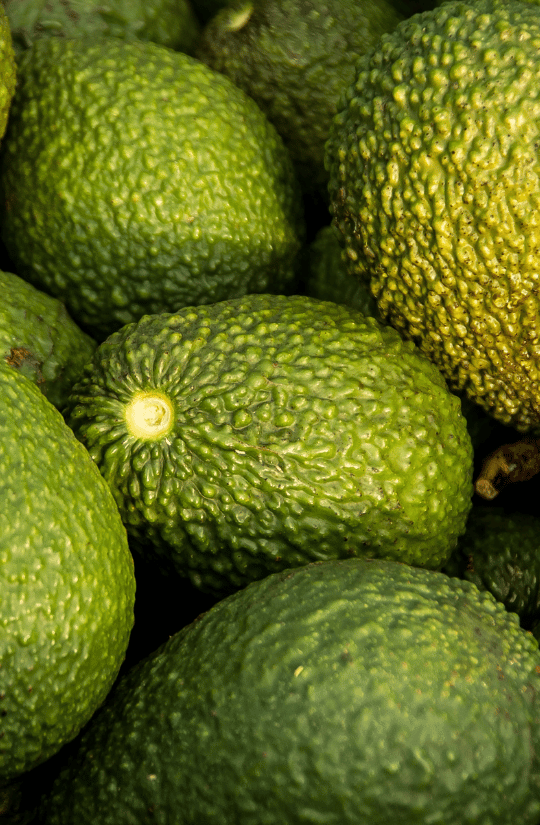 Hass Avocados