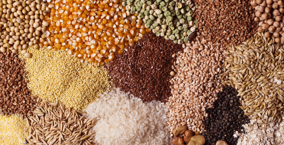 Cereals & Grains